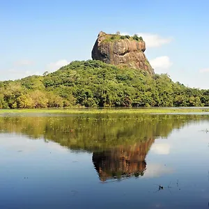 Sunshine Resort&spa Sigiriya